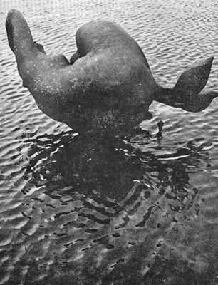 Breda, 1968, Fontein Zeemeermin